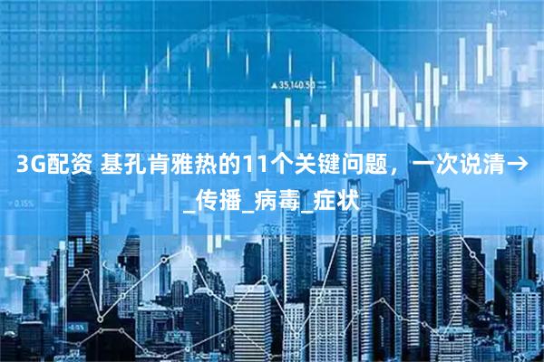 3G配资 基孔肯雅热的11个关键问题，一次说清→_传播_病毒_症状