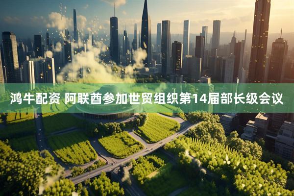 鸿牛配资 阿联酋参加世贸组织第14届部长级会议